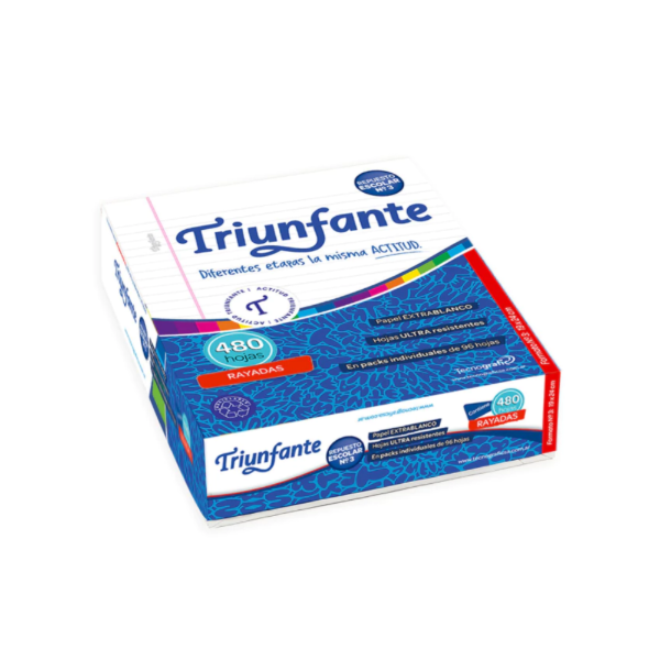 Producto - REPUESTO ESCOLAR TRIUNFANTE 480 HS