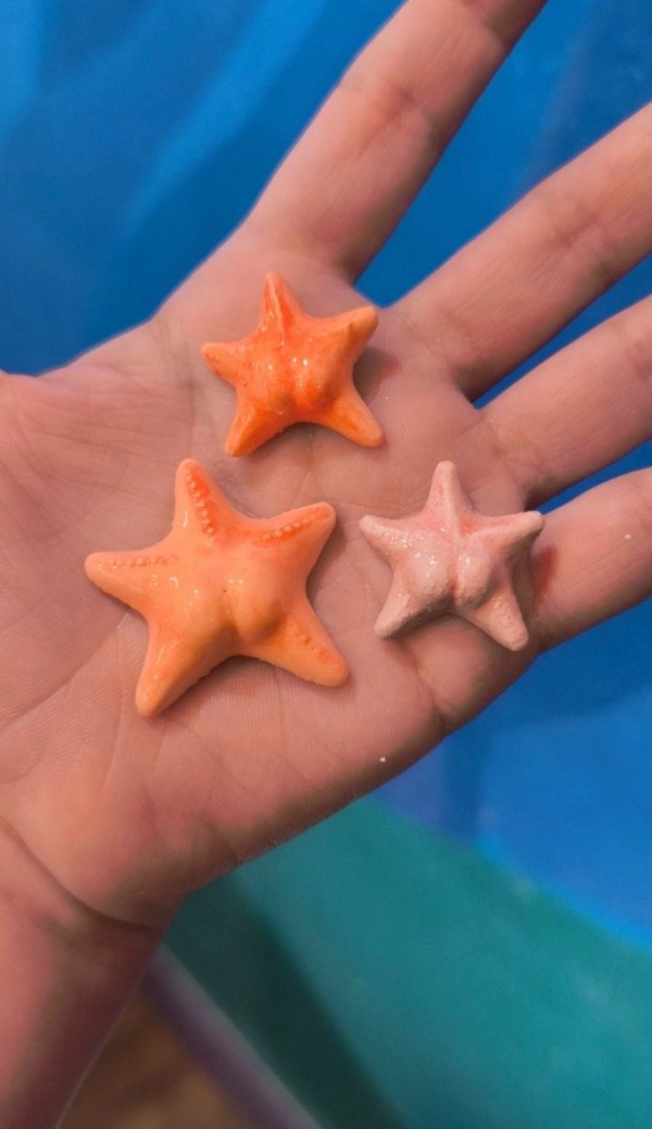 Producto - Imán Estrella culona