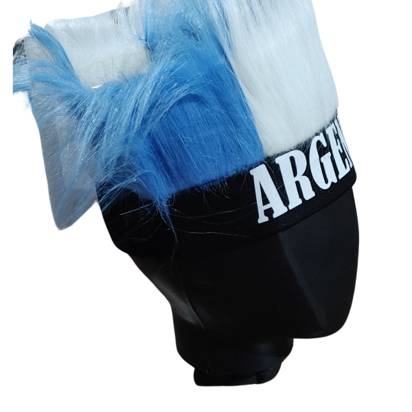 Producto - Vincha De Argentina Con Pelos Celestes Y Blancos - 3