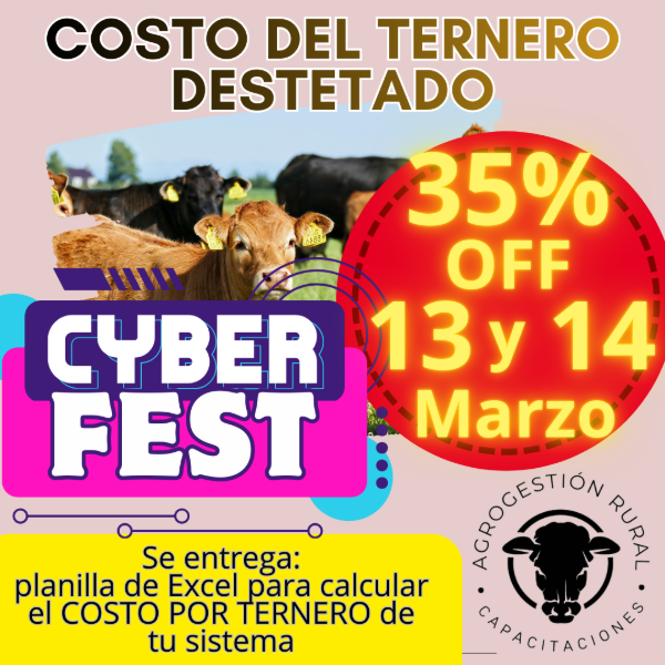 Producto - Taller Online: Costo del Ternero