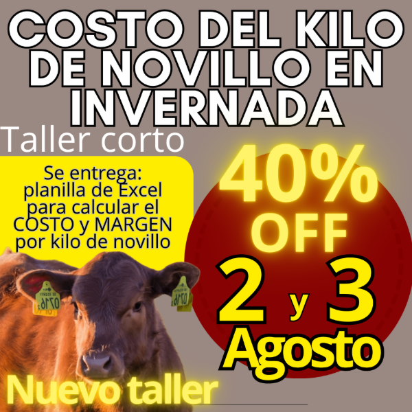 Producto - Taller corto: cálculo del costo del kilo de novillo