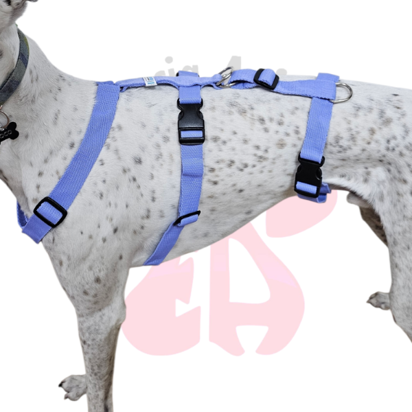 Producto - Pretal H 3 puntos