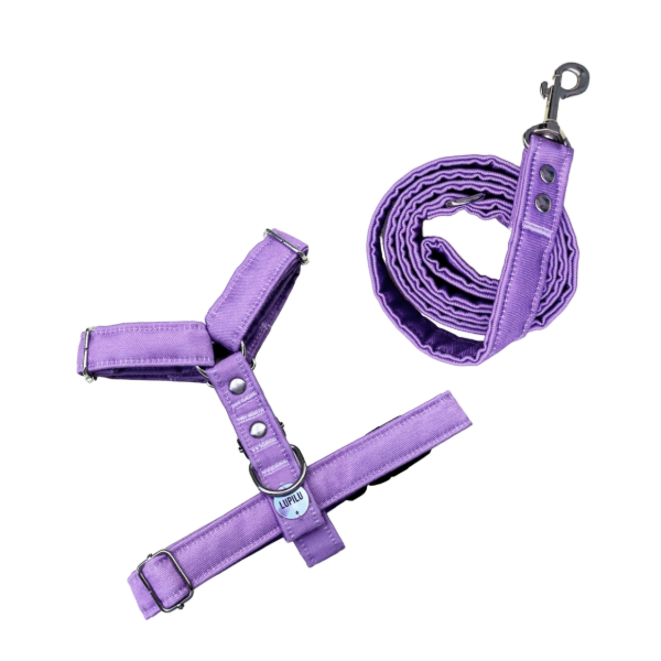 Producto - Conjunto arnes y correa LILA