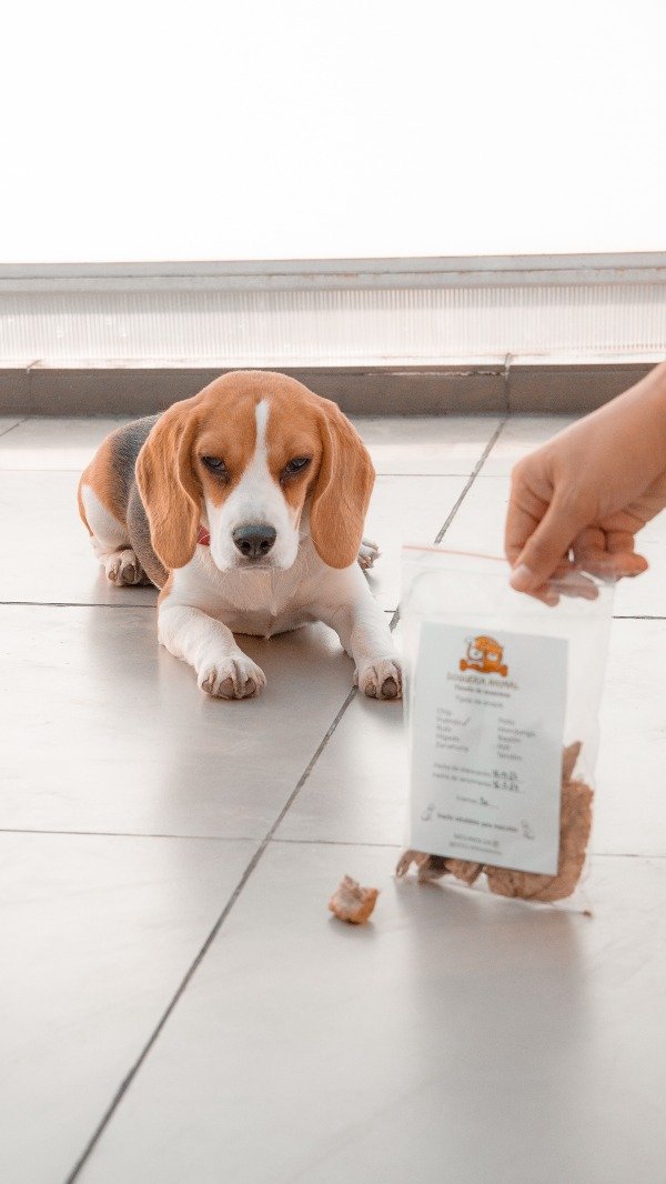 Producto - PULMÓN x 70gm aprendizaje