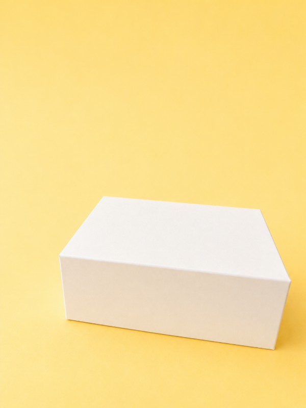 Producto - BOX TAPA BISAGRA COD.228 22x10x14 - 2