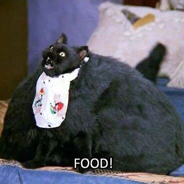 Producto - Salem food! - 1