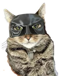 Producto - Batcat