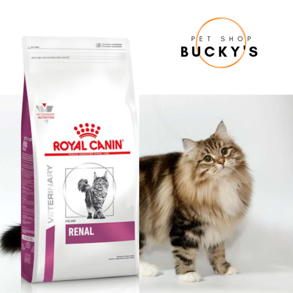 Producto - ROYAL CANIN CAT RENAL X 1,5 KG