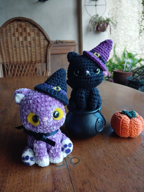 Producto - Gato bruja