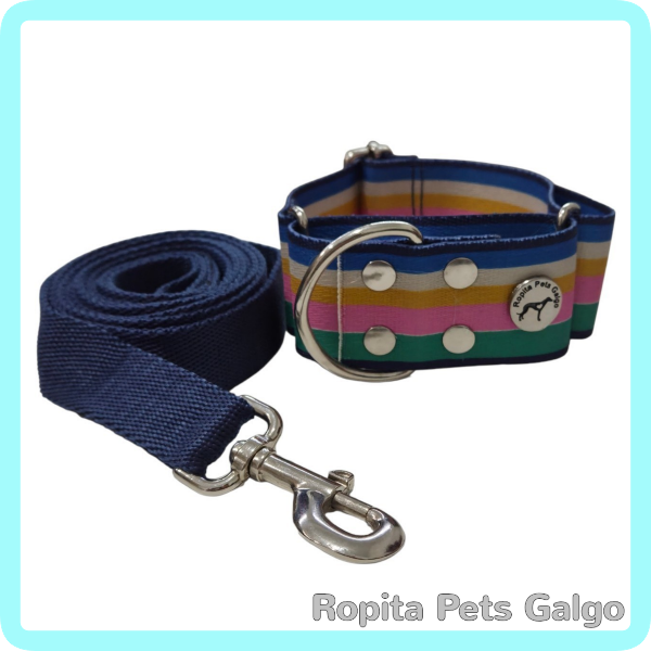 Producto - Conjunto Collar y Correa Alegria - 0