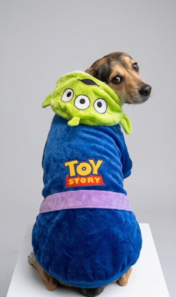 Producto - Buzo Toy Story