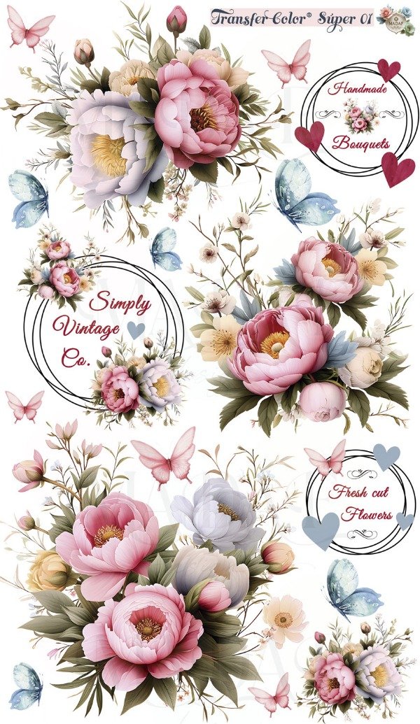 Producto - TRANSFER COLOR SÚPER 01