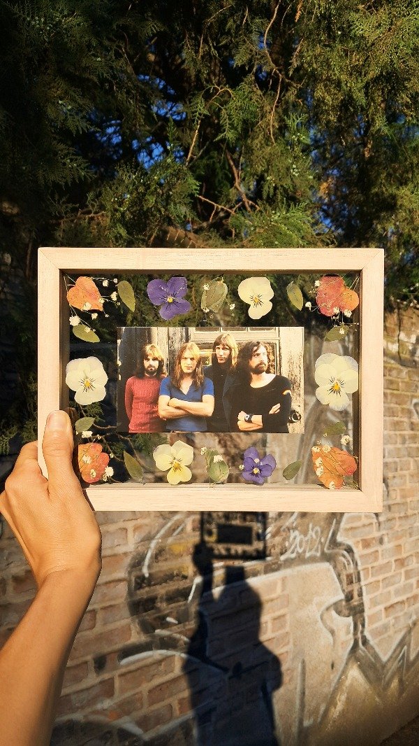 Producto - Cuadro Pink Floyd