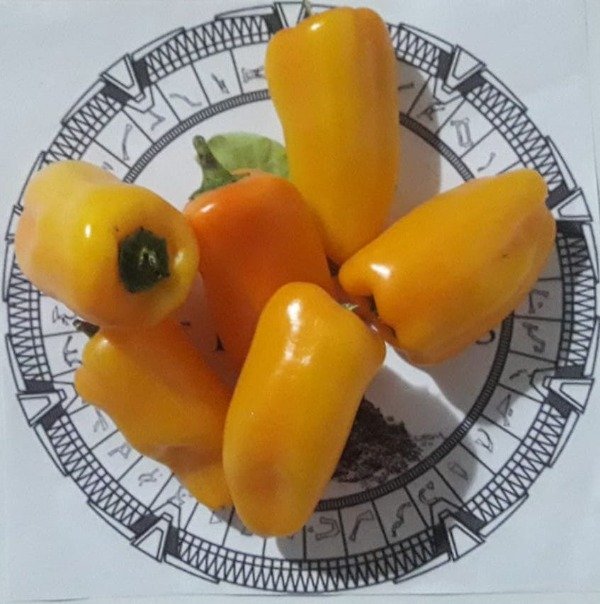 Miniatura de producto - 0