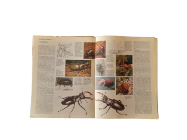 Miniatura de producto - 4