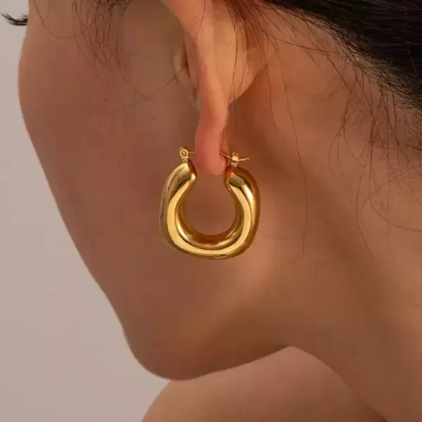 Producto - Aros Dina