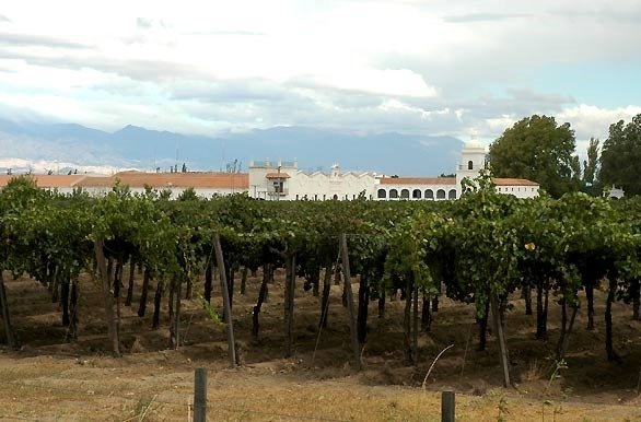 Producto - Destinos Andinos, Valle Calchaquí y Gastronomía. Salta y Cafayate