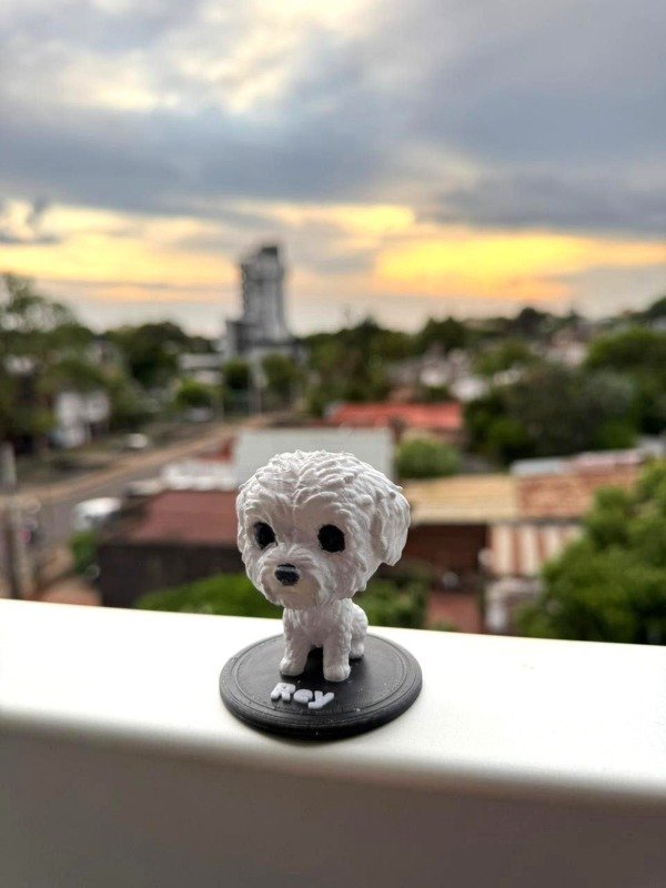 Miniatura de producto - 13