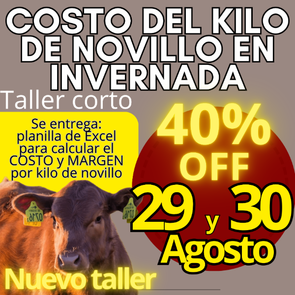Producto - Taller corto: cálculo del costo del kilo de novillo - 0
