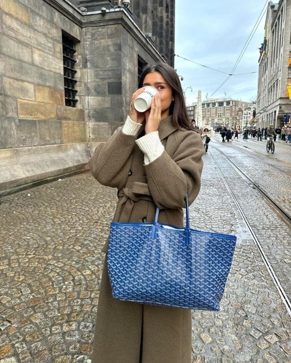 Producto - Bolso Goyard