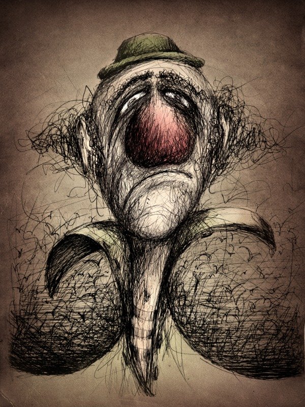 Producto - El gaviotas