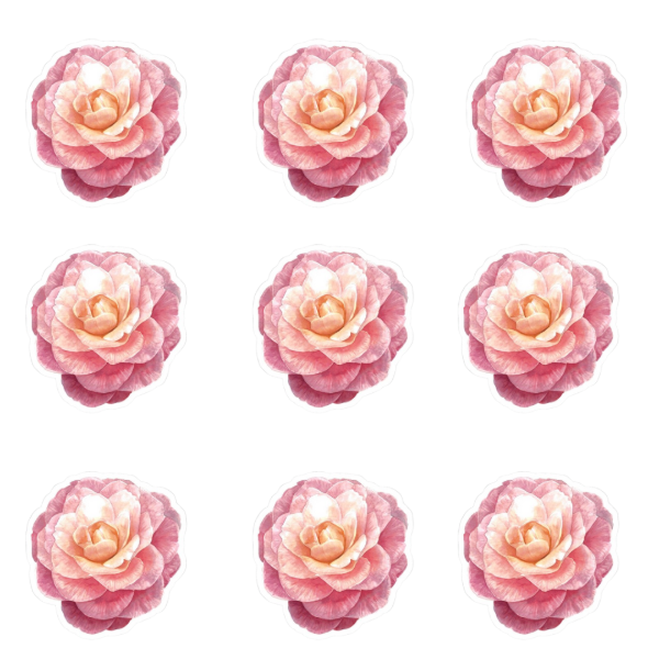 Producto - Flores comestibles camelias pack x12un