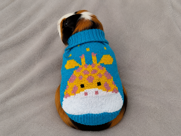 Producto - Ponchito tejido jirafa