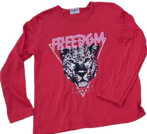 Producto - Remera Freedom T 10