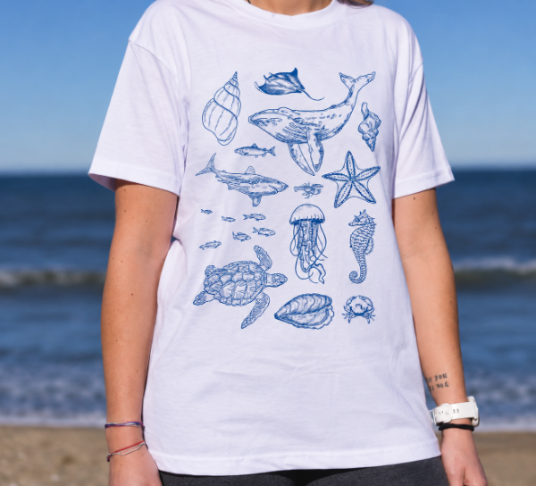 Producto - MAR ARGENTINO - 0