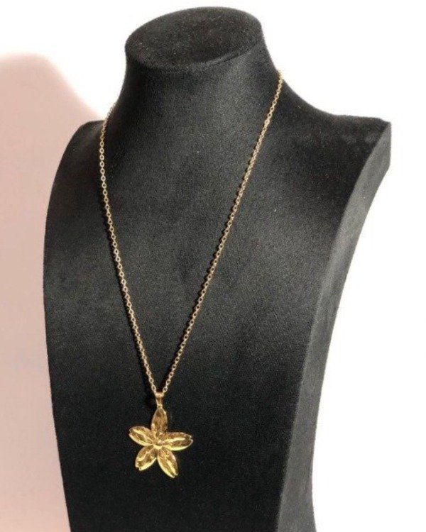 Producto - Collar Floricienta Gold