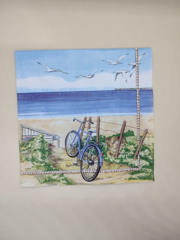 Producto - Beach bicycle