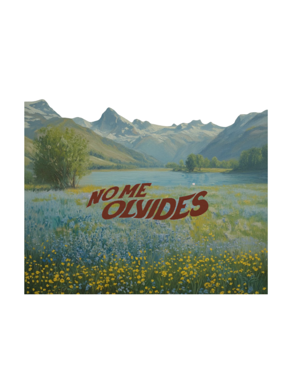 Producto - NO ME OLVIDES ANGELA TORRES - REMERA