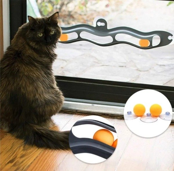 Producto - Juguete para gato track n'roll con ventosas