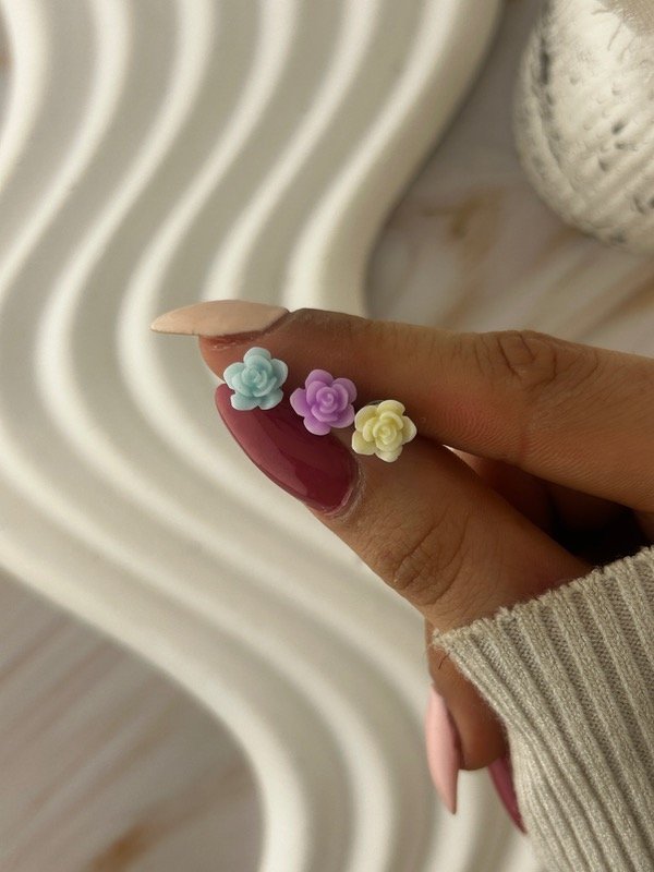 Producto - AROS ROSAS DE COLORES 6622