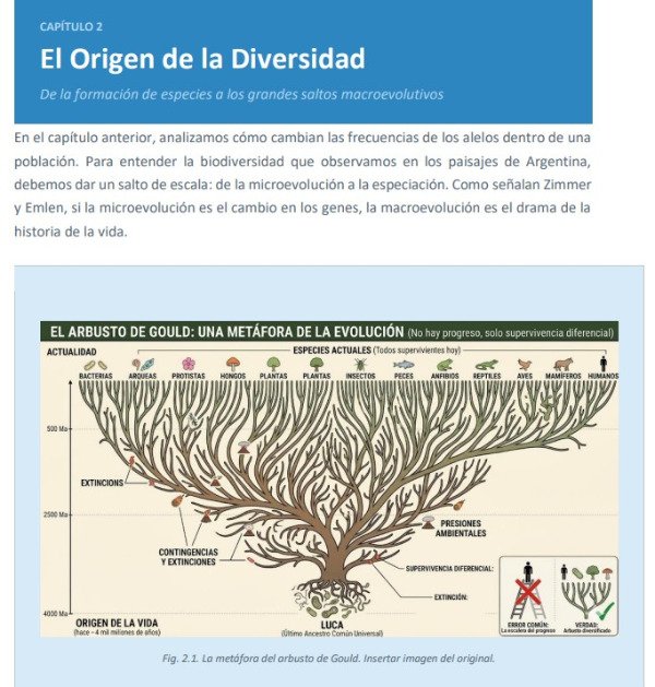 Producto - Aprende y repasa Evolución - 3