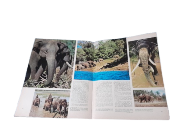 Miniatura de producto - 5