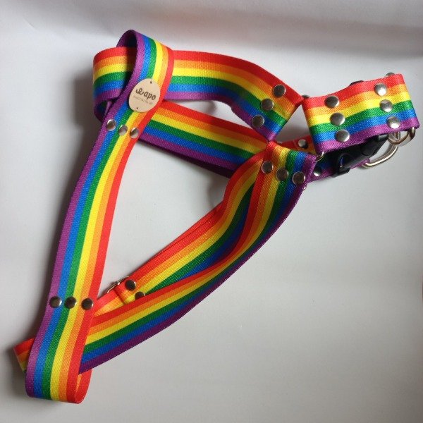 Producto - Pretal RAINBOW