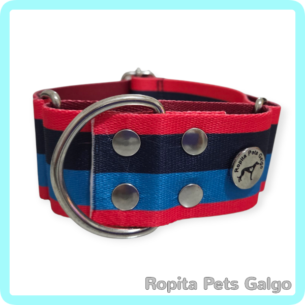 Producto - Conjunto Collar y Correa Vicente - 1