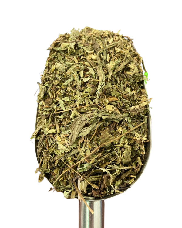 Producto - MENTA PEPERINA