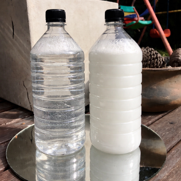 Producto - JABON LIQUIDO INOLORO LITRO