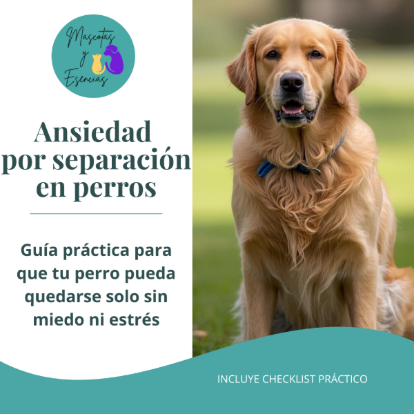 Producto - Ansiedad por separación en mascotas