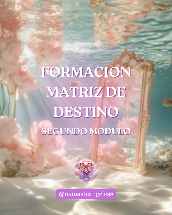 Producto - Formación Matriz de Destino (Segundo Modulo)