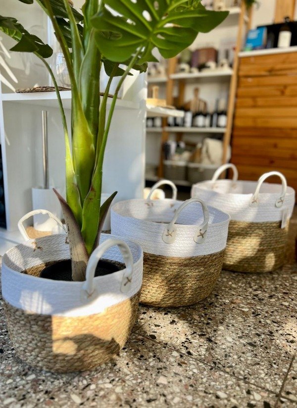 Producto - Cestos Eco Blanco