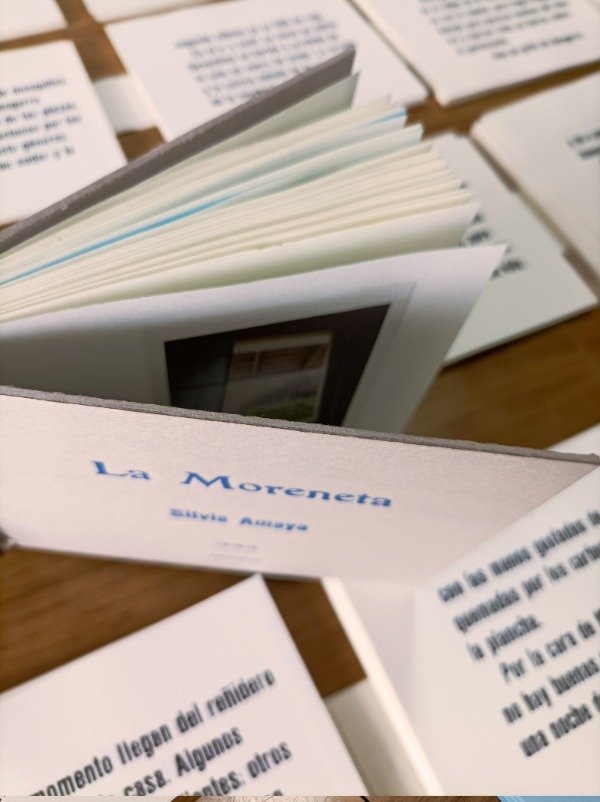 Producto - La moreneta - 1