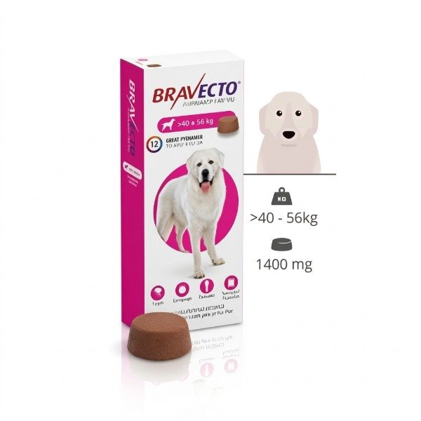 Producto - Bravecto 40 a 60 Kg Protección Total contra Pulgas y Garrapatas por 12 Semanas