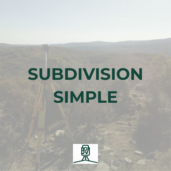 Producto - SUBDIVISION SIMPLE