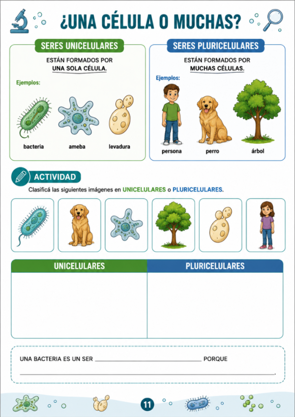 Producto - Vida de los Microorganismos - 9