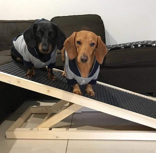 Producto - Rampa para mascotas