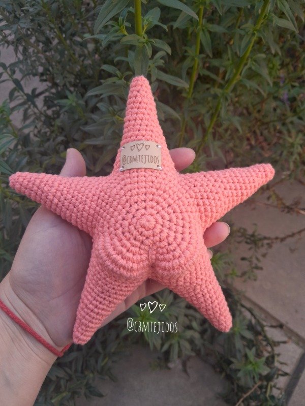 Producto - Guía de tejido Coni estrellita culona - 1