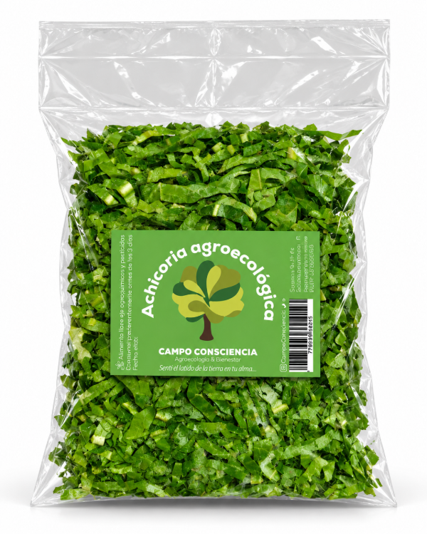 Producto - Ensalada de Achicoria Agroecológica - Presentación Mediana